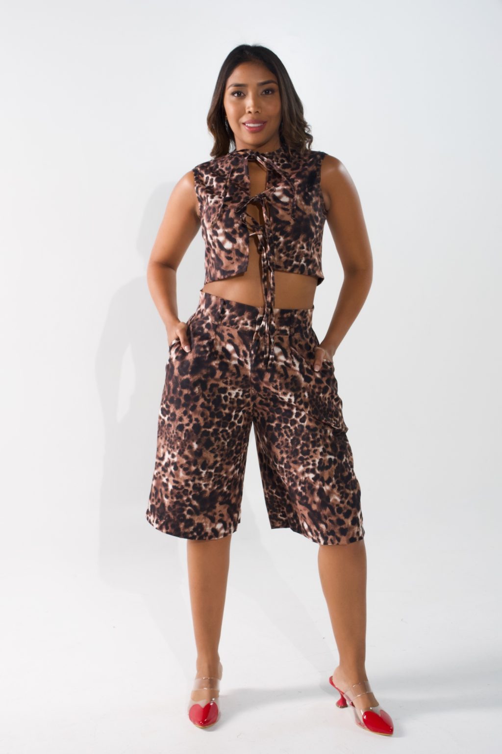 Set Cheetah
