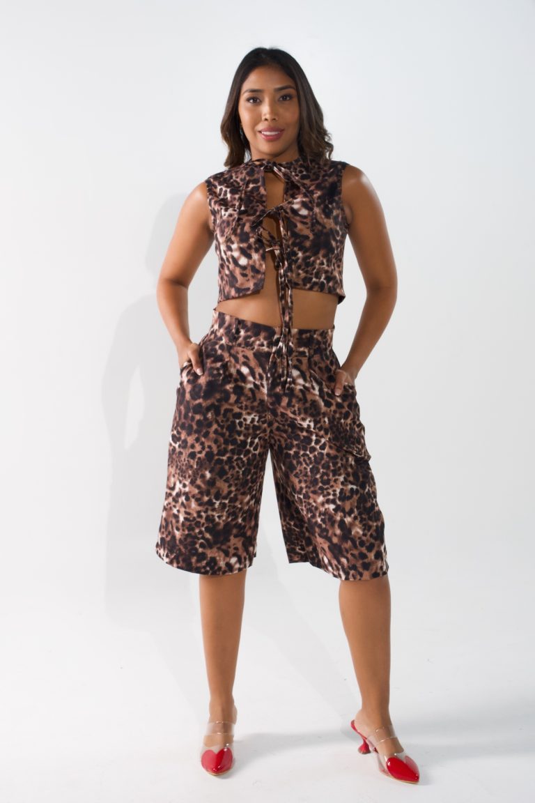 Set Cheetah
