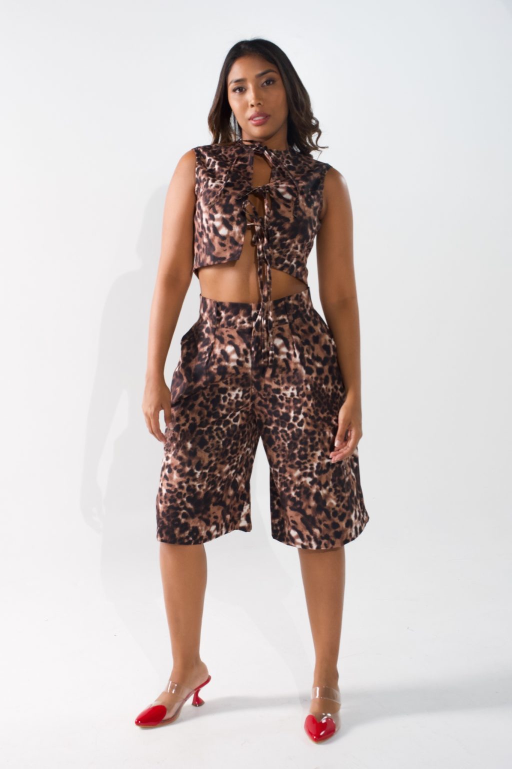 Set Cheetah - Image 4
