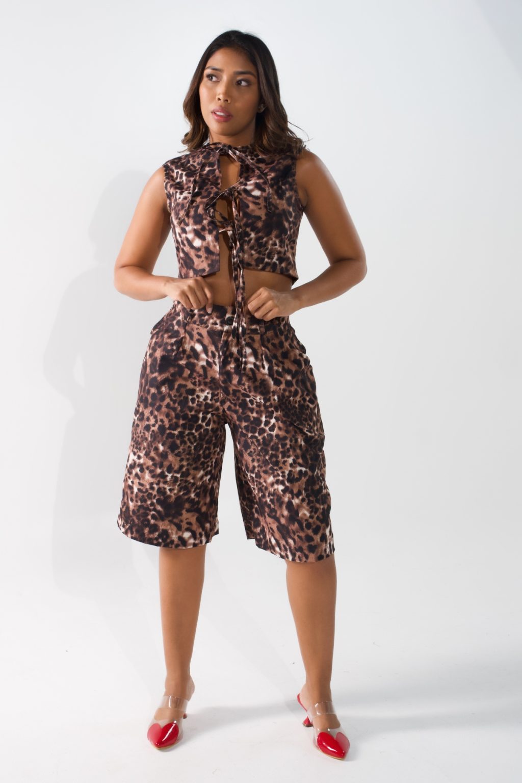 Set Cheetah - Image 5
