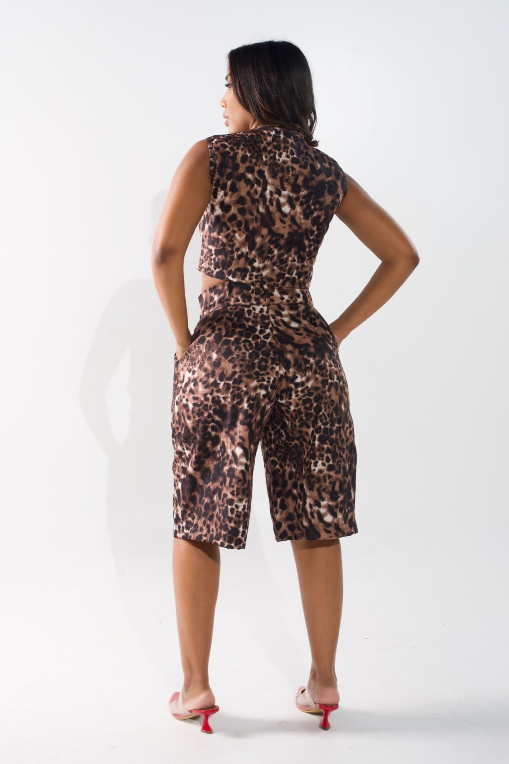 Set Cheetah - Image 3
